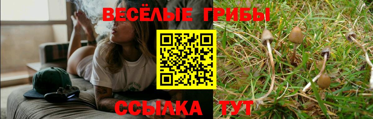 Галлюциногенные грибы Cubensis  Псилоцибиновые грибы GOLDEN TEACHER  Сорочинск  Вход с VPN 